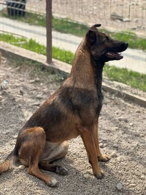 Whatsapp bild 2025 07 16 um 16.20.35 2b640076