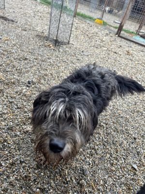 WhatsApp Bild 2025 11 20 um 11.38.30 59f52040