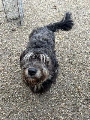 WhatsApp Bild 2025 11 20 um 11.38.32 25f6fb28