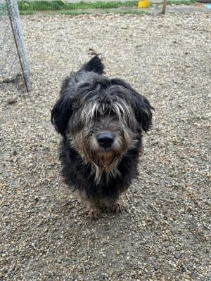 WhatsApp Bild 2025 11 20 um 11.38.32 4384cf83