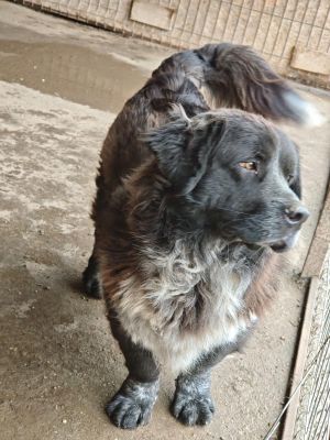 WhatsApp Bild 2025 11 20 um 14.41.29 98b12284