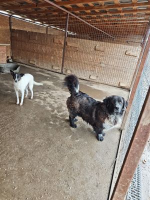 WhatsApp Bild 2025 11 20 um 14.41.31 5cb1601e