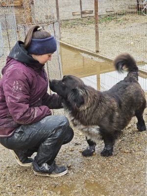 WhatsApp Bild 2025 11 20 um 14.41.33 4074880d