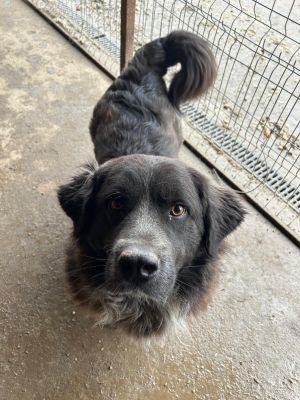 WhatsApp Bild 2025 11 20 um 14.41.42 ff5fb9bb