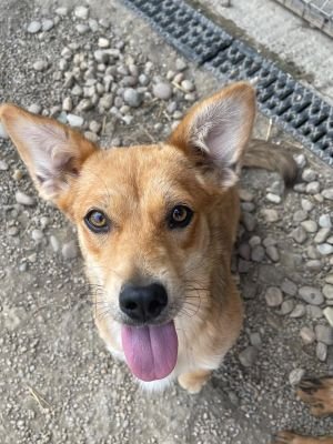 Whatsapp image 2025 07 15 at 18.52.26