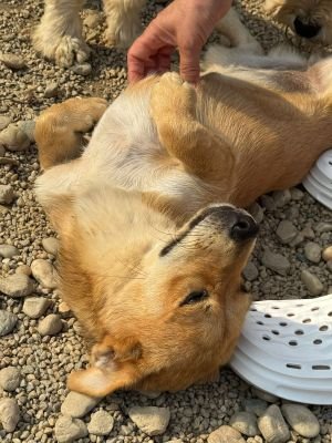 Whatsapp image 2025 07 15 at 18.52.27