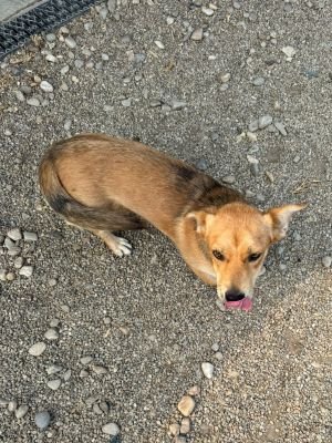 Whatsapp image 2025 07 15 at 18.52.28