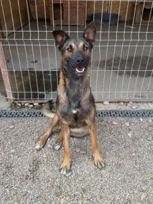 Whatsapp image 2025 07 22 at 10.49.55 (1)