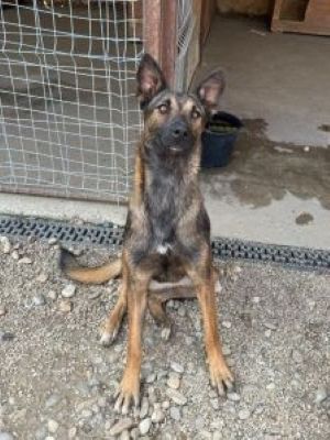 Whatsapp image 2025 07 22 at 10.49.55