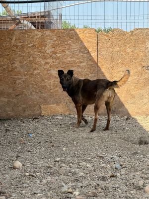 Whatsapp image 2025 07 22 at 10.50.00 (1)