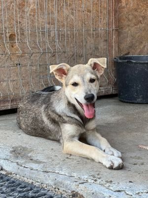 Whatsapp image 2025 07 22 at 16.32.08 (1)