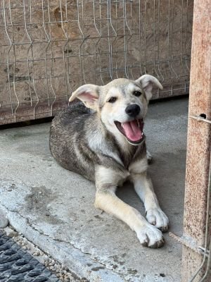 Whatsapp image 2025 07 22 at 16.32.09