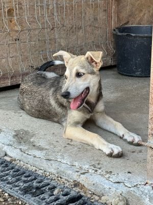 Whatsapp image 2025 07 22 at 16.32.10 (1)