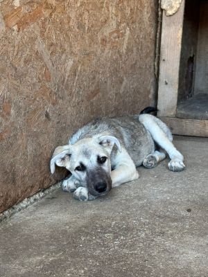 Whatsapp image 2025 07 22 at 16.37.52