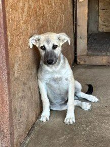 Whatsapp image 2025 07 22 at 16.37.54