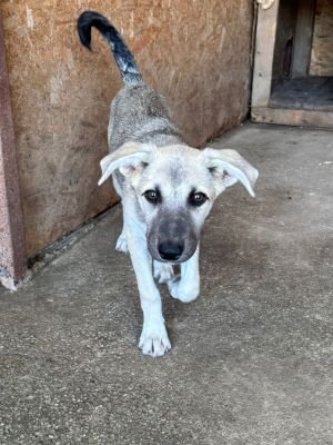 Whatsapp image 2025 07 22 at 16.37.55 (1)