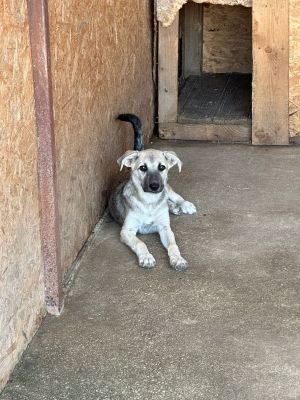 Whatsapp image 2025 07 22 at 16.37.55