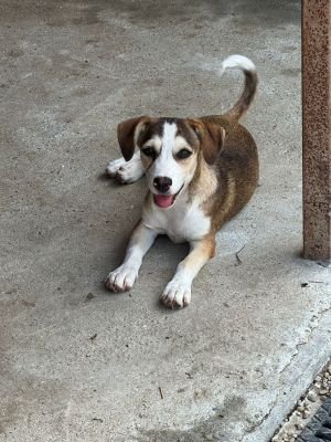 Whatsapp image 2025 07 23 at 09.47.49