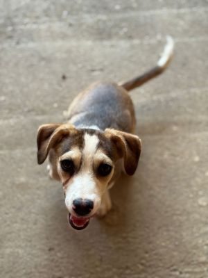 Whatsapp image 2025 07 23 at 09.47.50