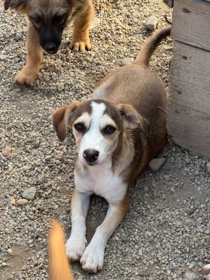 Whatsapp image 2025 07 23 at 09.47.51