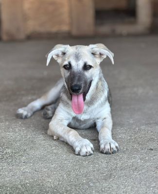 Whatsapp image 2025 07 23 at 16.25.33