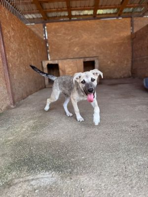 Whatsapp image 2025 07 23 at 16.25.34 (1)