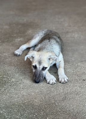 Whatsapp image 2025 07 23 at 16.25.34