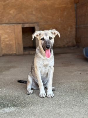 Whatsapp image 2025 07 23 at 16.25.35