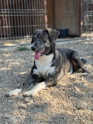 Whatsapp image 2025 07 25 at 17.54.52 (1)