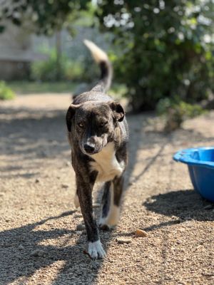 Whatsapp image 2025 07 25 at 17.54.55 (2)