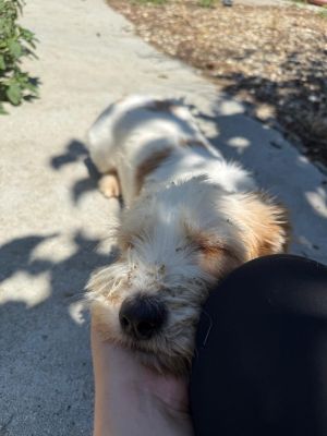 Whatsapp image 2025 08 02 at 12.10.37 (2)