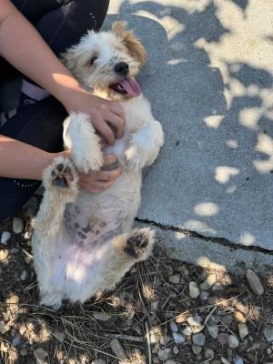 Whatsapp image 2025 08 02 at 12.12.15 (1)