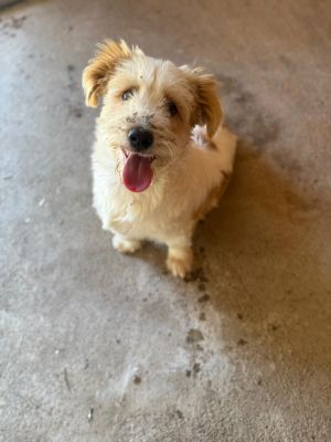 Whatsapp image 2025 08 02 at 12.13.17 (3)