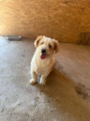 Whatsapp image 2025 08 02 at 12.13.19 (2)