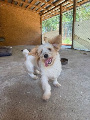 Whatsapp image 2025 08 02 at 12.13.20 (3)