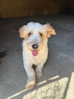 Whatsapp image 2025 08 02 at 12.13.22 (1)