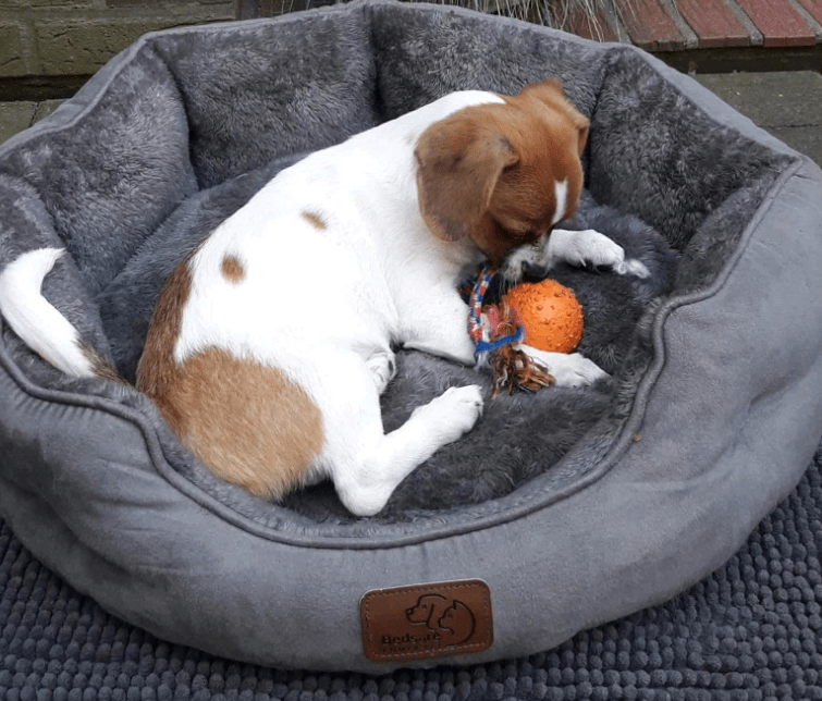 2025 08 15 09 18 51 lilly ❤️ kleine entdeckerin mit großem herz in niedersachsen emtinghausen mi