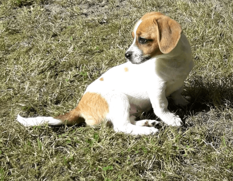 2025 08 15 09 18 55 lilly ❤️ kleine entdeckerin mit großem herz in niedersachsen emtinghausen mi