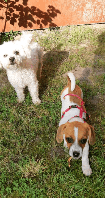 2025 08 15 09 19 09 lilly ❤️ kleine entdeckerin mit großem herz in niedersachsen emtinghausen mi