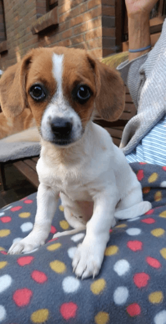 2025 08 15 09 19 14 lilly ❤️ kleine entdeckerin mit großem herz in niedersachsen emtinghausen mi