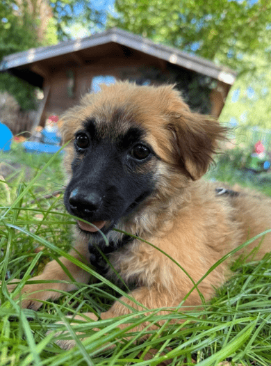 2025 08 19 14 40 10 tami ❤️ das upgrade für euer sofa, leben und herz in bayern wendelstein misc