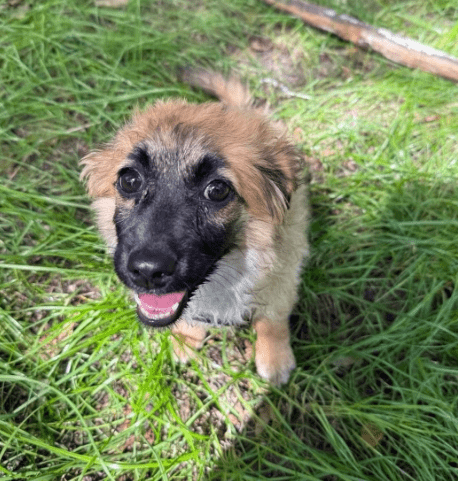 2025 08 19 14 40 15 tami ❤️ das upgrade für euer sofa, leben und herz in bayern wendelstein misc