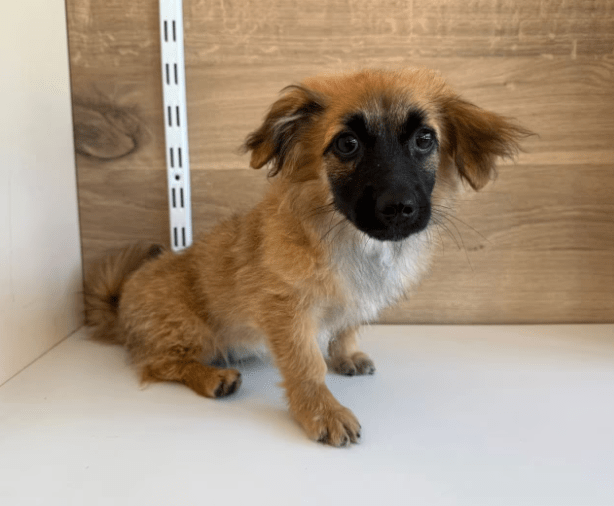 2025 08 19 14 40 19 tami ❤️ das upgrade für euer sofa, leben und herz in bayern wendelstein misc