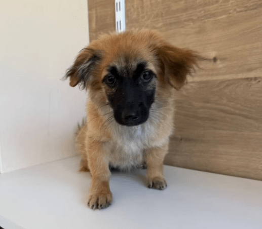 2025 08 19 14 40 24 tami ❤️ das upgrade für euer sofa, leben und herz in bayern wendelstein misc