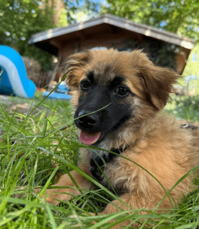 2025 08 19 14 40 28 tami ❤️ das upgrade für euer sofa, leben und herz in bayern wendelstein misc