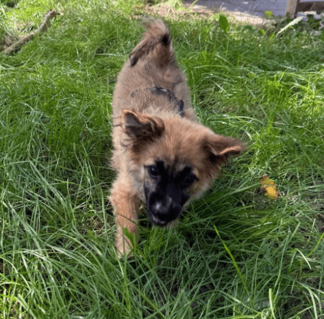 2025 08 19 14 40 32 tami ❤️ das upgrade für euer sofa, leben und herz in bayern wendelstein misc