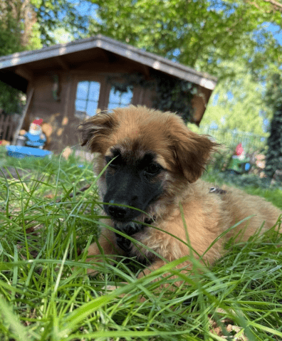 2025 08 19 14 40 37 tami ❤️ das upgrade für euer sofa, leben und herz in bayern wendelstein misc