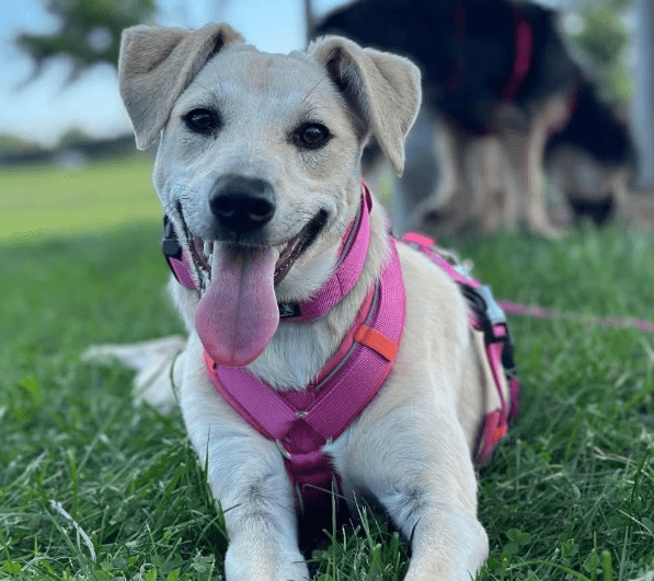 2025 10 05 15 48 14 posteingang sina.rieke kroeger@oetker.com outlook