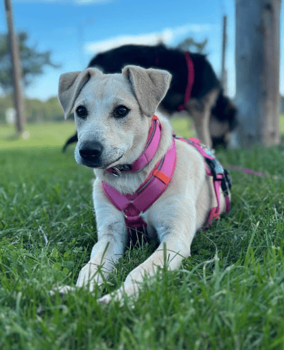 2025 10 05 15 48 20 posteingang sina.rieke kroeger@oetker.com outlook