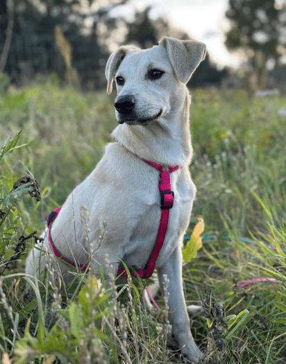 2025 10 05 15 48 28 posteingang sina.rieke kroeger@oetker.com outlook